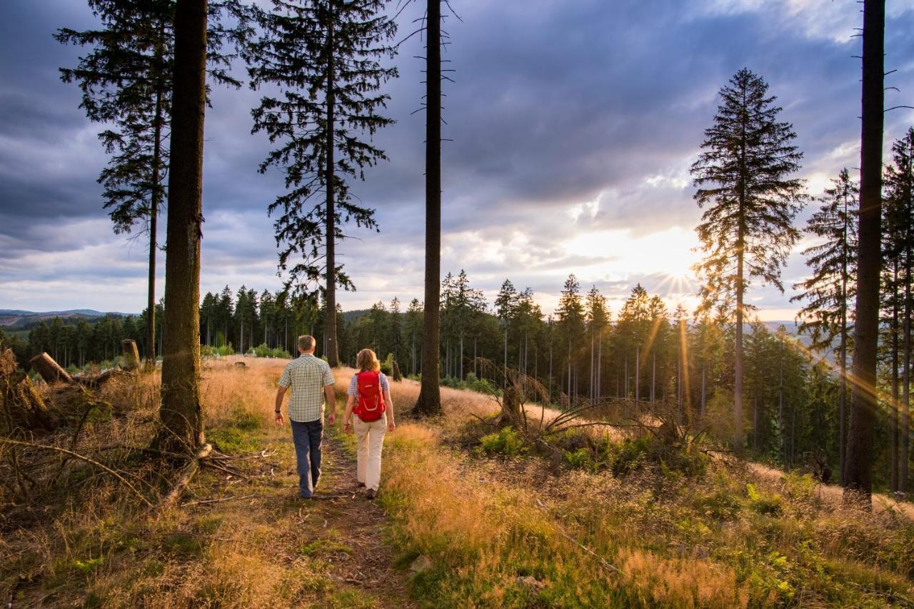 Familie Hotel Kameleon Ольсберг Экстерьер фото